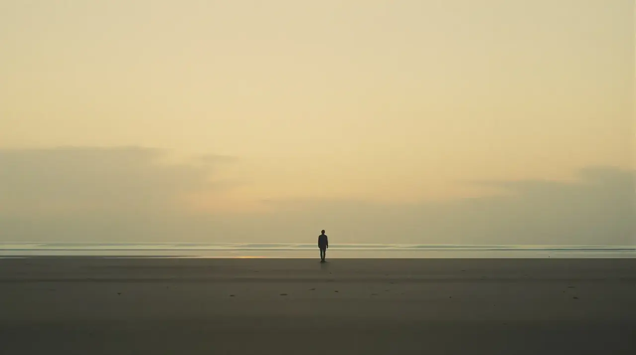 潮汐之间 精选海报